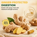 vahdam-extra-strength-turmeric-ginger-su-6.jpg