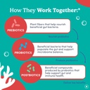 first-day-toddler-tribiotic-gummies-ages-4.jpg