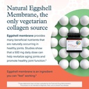 youtheory-joint-collagen-vegetarian-coll-4.jpg