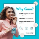 run-gum-mint-flavor-caffeinated-energy-f-4.jpg