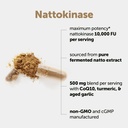 micro-ingredients-nattokinase-10-000-fu--2.jpg