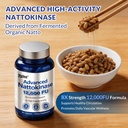 ultimate-nattokinase-12-000fu-serrapepta-3.jpg