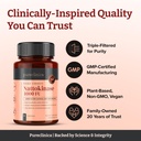 nattokinase-4-000-fu-per-capsule-120-veg-4.jpg
