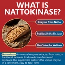 kwala-nutrition-nattokinase-supplement-4-5.jpg