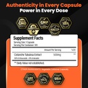 cistanche-tubulosa-extract-500mg-120-ser-3.jpg