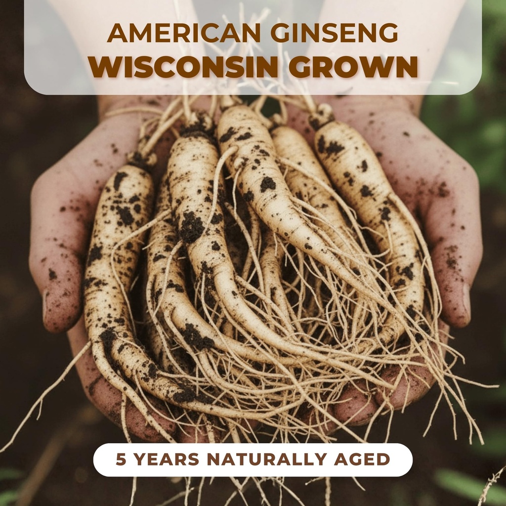 4-boxes-american-ginseng-root-organic-am-3.jpg