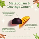 plant-people-wonderburn-metabolism-cravi-3.jpg