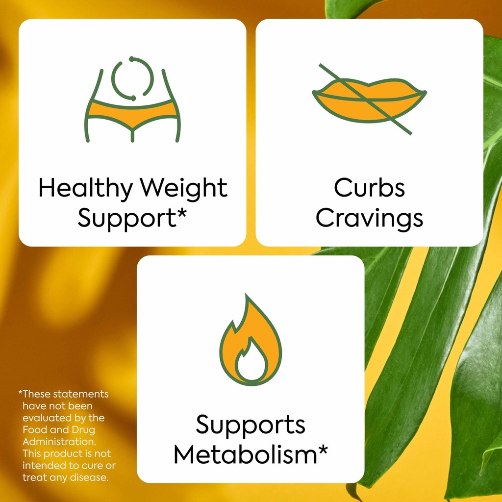 plant-people-wonderburn-metabolism-cravi-5.jpg