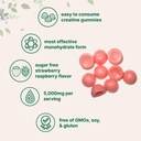 creatine-monohydrate-gummies-5-000mg-per-3.jpg