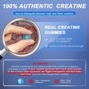 creatine-monohydrate-gummies-for-men-wom-2.jpg