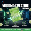 creatine-monohydrate-gummies-5000mg-suga-2.jpg