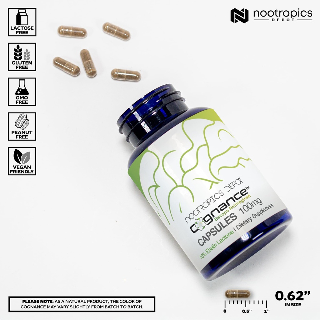 nootropics-depot-cognance-enhanced-bacop-3.jpg