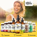 wild-organic-st-johns-wort-tincture-mood-5.jpg