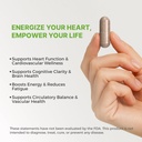 heart-brain-support-inspired-by-chinese--2.jpg