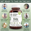 natural-nutra-kelp-iodine-with-potassium-3.jpg
