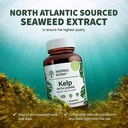 natural-nutra-kelp-iodine-with-potassium-5.jpg