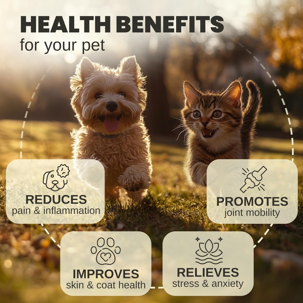 billion-pets-hemp-oil-for-dogs-and-cats--2.jpg