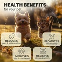 billion-pets-hemp-oil-for-dogs-and-cats--2.jpg