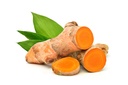 cedar-bear-turmeric-root-curcuma-longa-l-3.jpg
