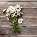 cedar-bear-chamomile-calmer-for-kids-liq-5.jpg