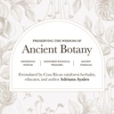 anima-mundi-apothecary-curam-organic-bea-5.jpg