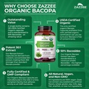 zazzee-usda-organic-bacopa-30-1-extract--6.jpg