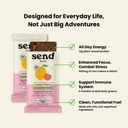 send-bars-organic-plant-based-vegan-heal-4.jpg