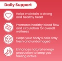 sanar-naturals-red-yeast-rice-with-coq10-5.jpg