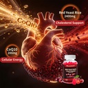 red-yeast-rice-with-coq10-gummies-sugar--2.jpg