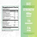 ryse-loaded-creatine-for-men-women-baja--2.jpg