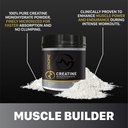 premium-creatine-monohydrate-powder-musc-6.jpg