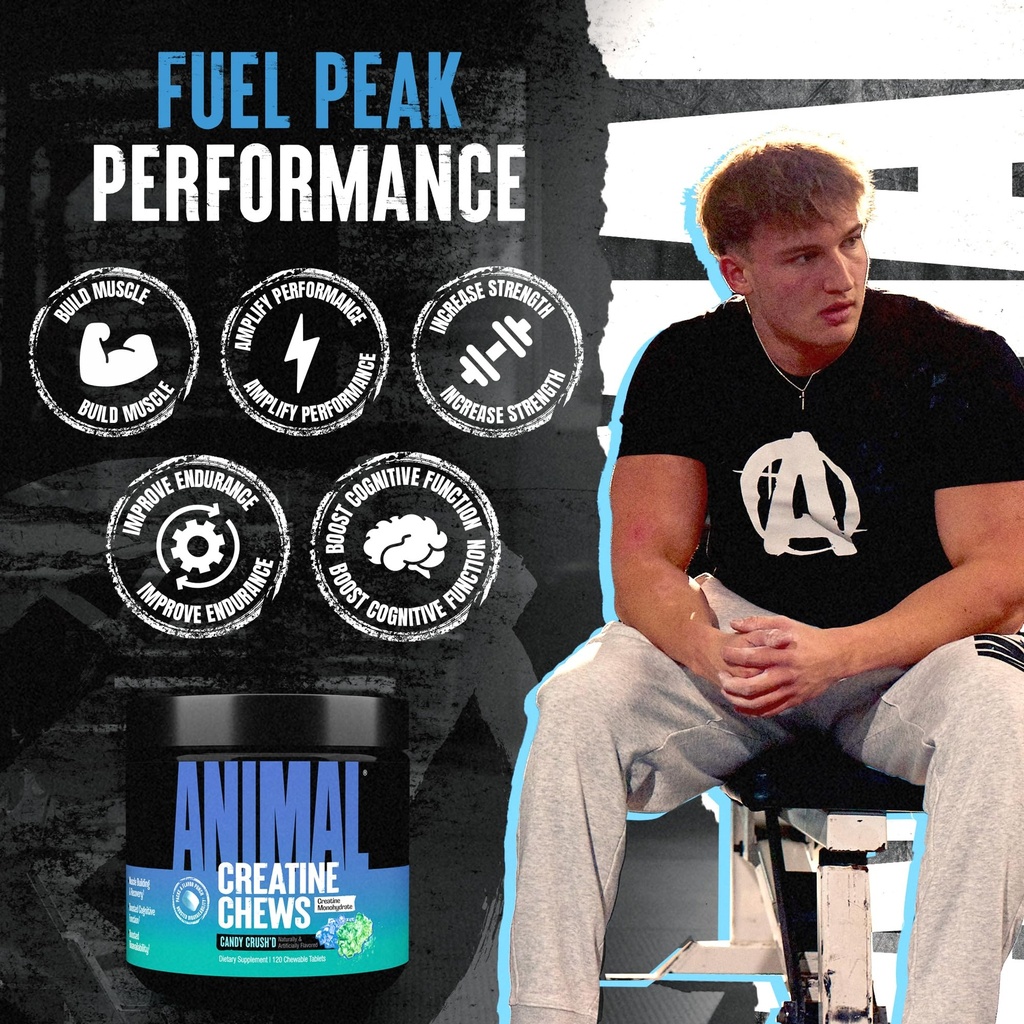animal-creatine-chews-enhanced-creatine--3.jpg
