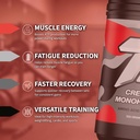 treigning-lab-creatine-monohydrate-micro-5.jpg