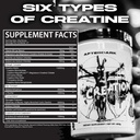 afterdark-supplements-creation-creatine--5.jpg