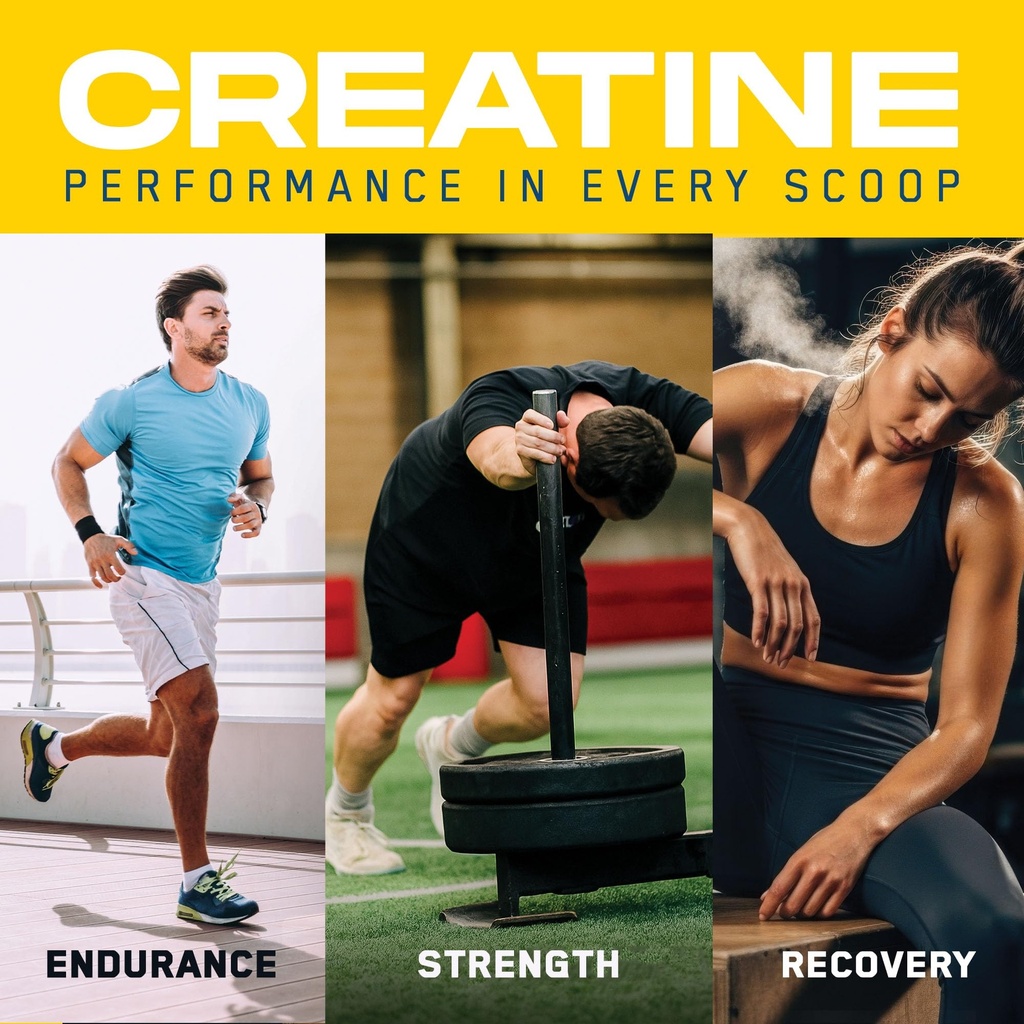 an-performance-creatine-monohydrate-pept-3.jpg
