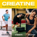 an-performance-creatine-monohydrate-pept-3.jpg