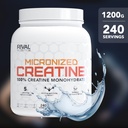 rival-nutrition-micronized-creatine-i-10-6.jpg