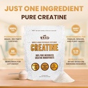 b-rad-100-pure-micronized-creatine-monoh-4.jpg