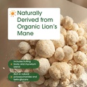 naturebell-organic-lion-s-mane-powder-1--6.jpg