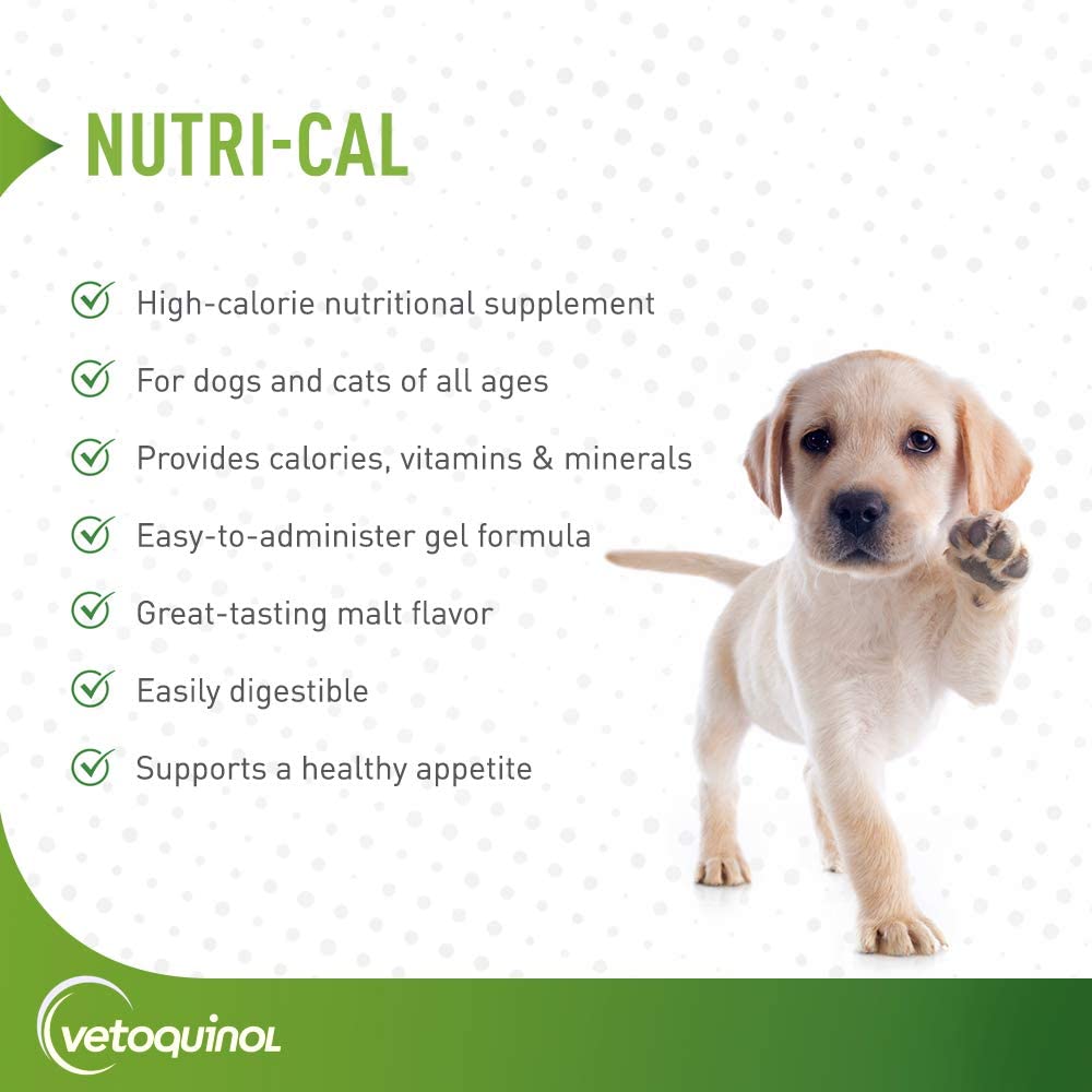 vetoquinol-nutri-cal-4-25-oz-high-calori-2.jpg