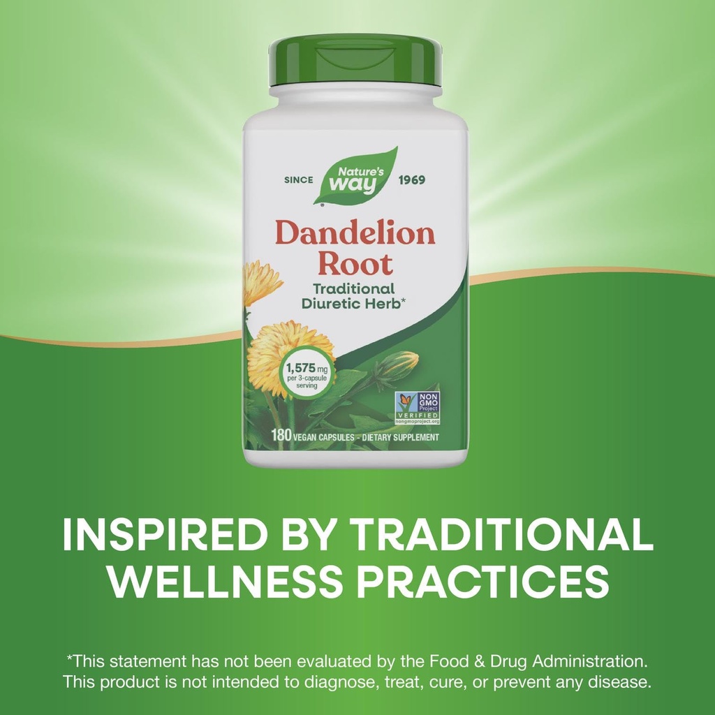 nature-s-way-dandelion-root-traditional--4.jpg