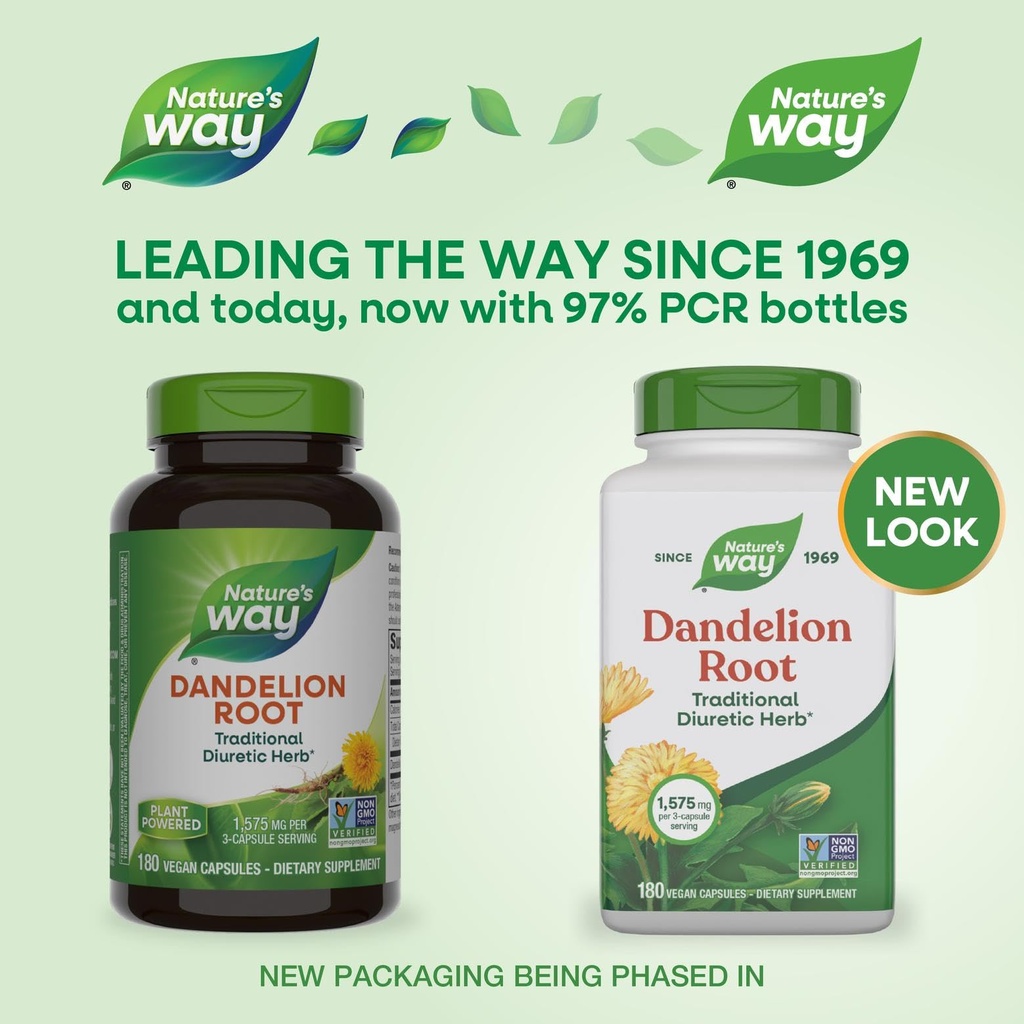 nature-s-way-dandelion-root-traditional--2.jpg