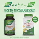 nature-s-way-dandelion-root-traditional--2.jpg