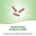 nature-s-way-dandelion-root-traditional--3.jpg