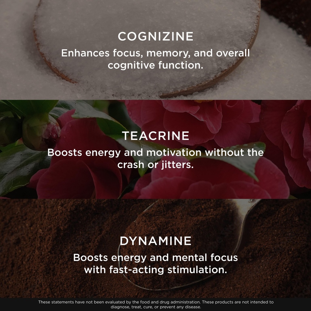 genius-gamer-gaming-focus-supplement-80--6.jpg