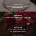 genius-gamer-gaming-focus-supplement-80--6.jpg