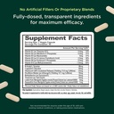 genius-gamer-gaming-focus-supplement-80--2.jpg