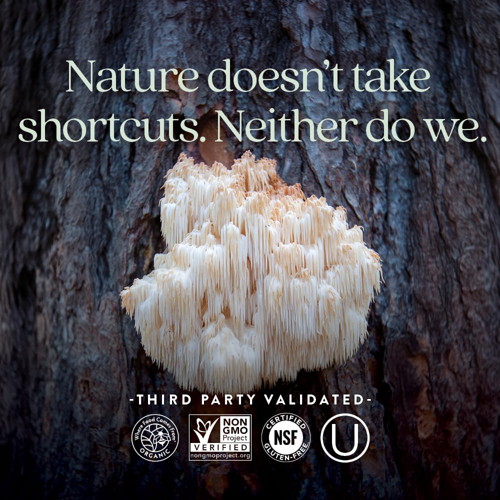new-chapter-lion-s-mane-reishi-mushroom--5.jpg