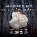 new-chapter-lion-s-mane-reishi-mushroom--5.jpg