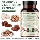 plant-o-premium-lion-s-mane-supplement-a-2.jpg